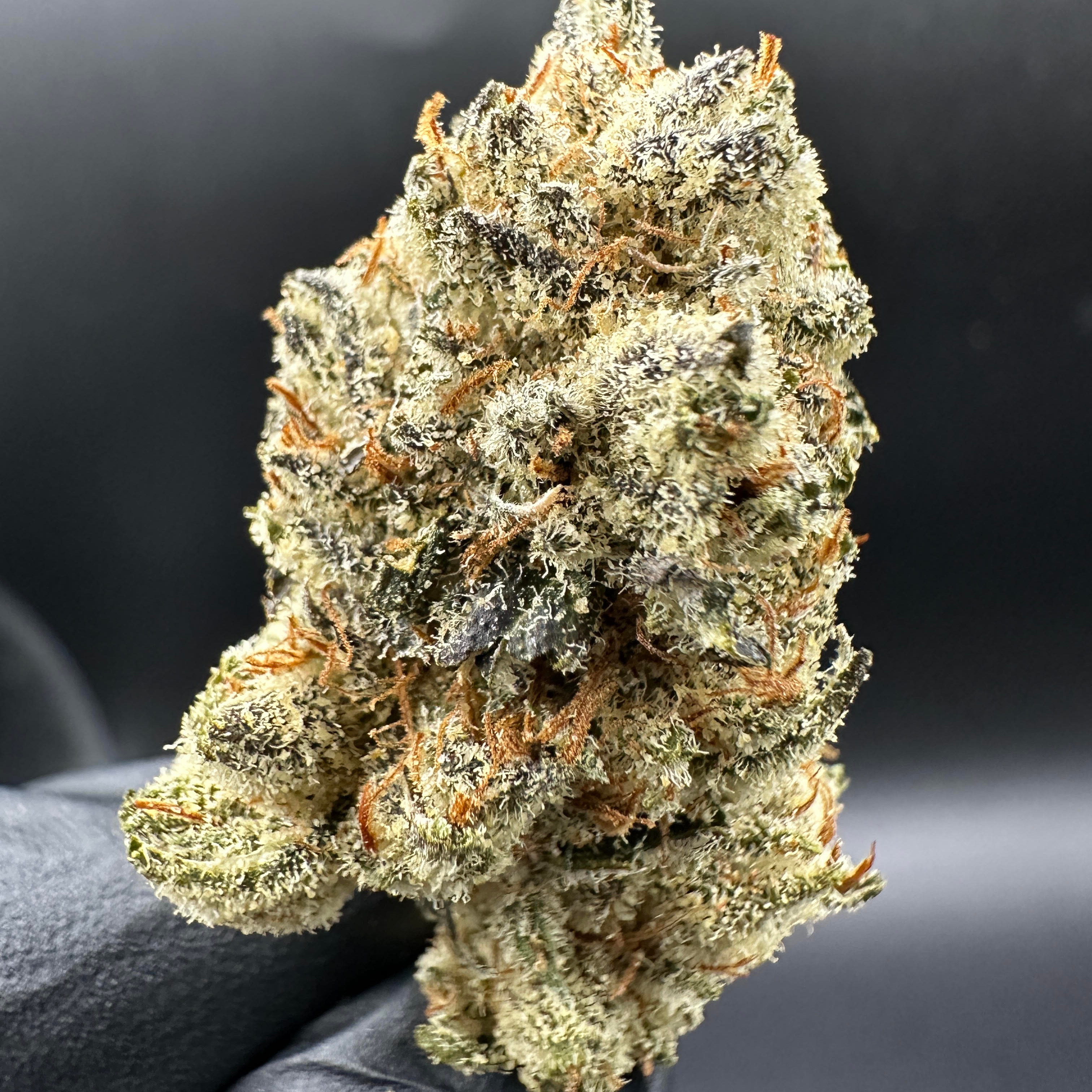 Hazy Valley: Northern Lights