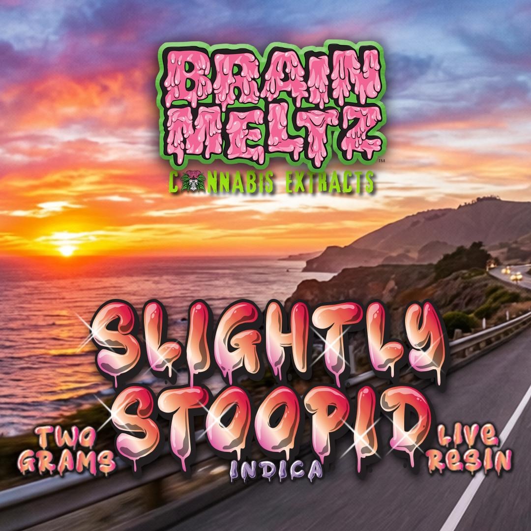 Moontower Pines: Slightly Stoopid