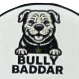 Bully Brothers: Motor Breath