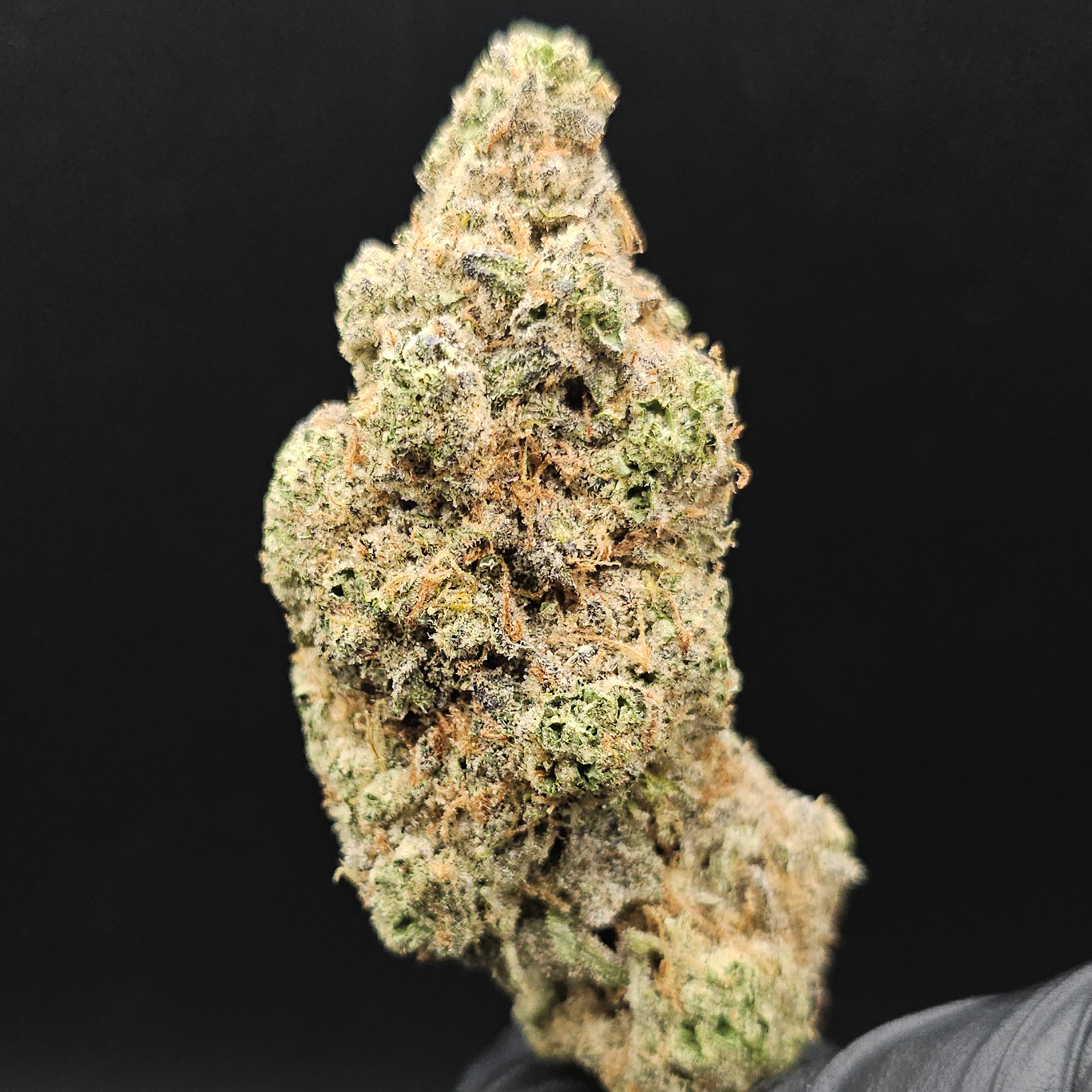 Otto's OG Farm: Dream Factory