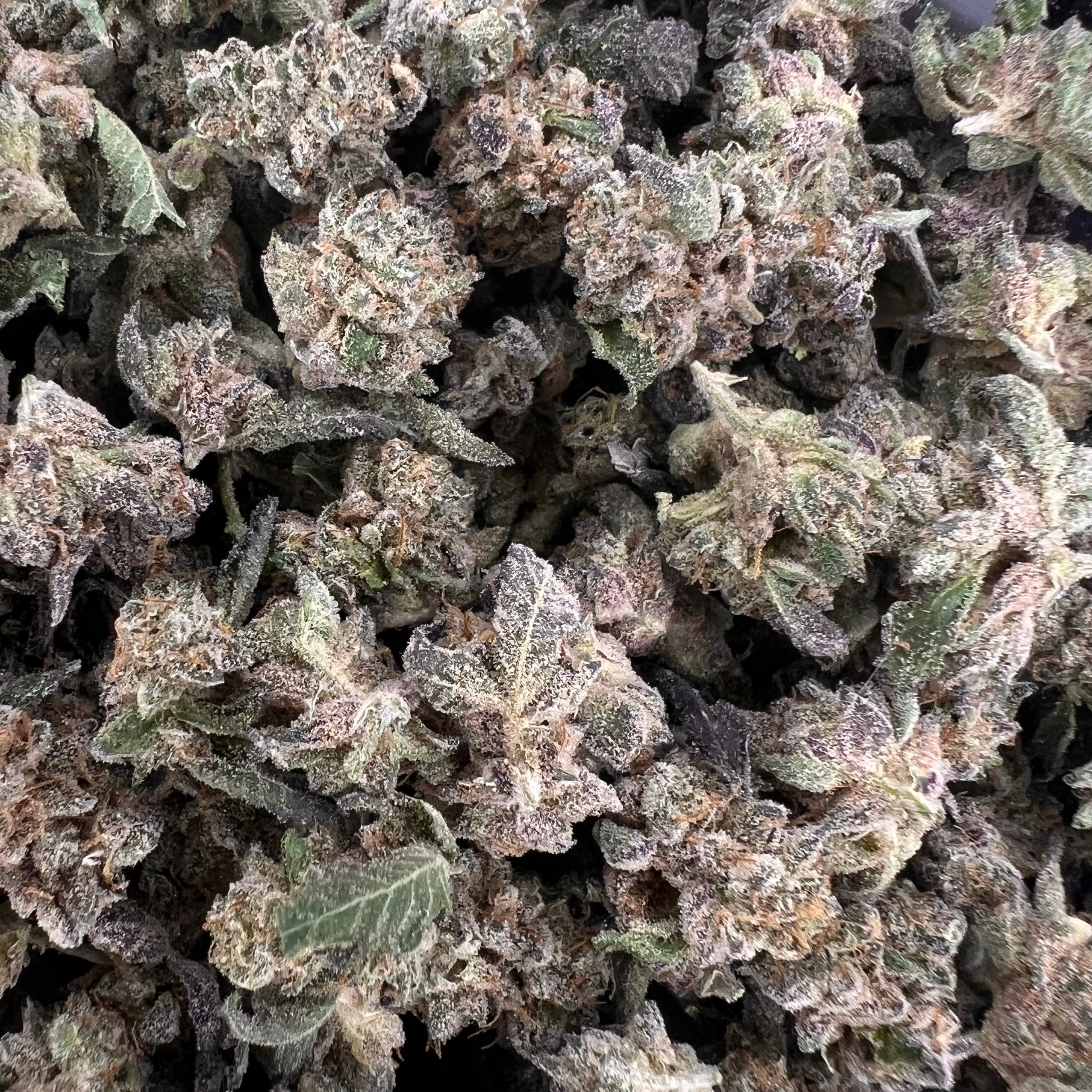 Resin Ranchers: * Bananaconda Buddlets