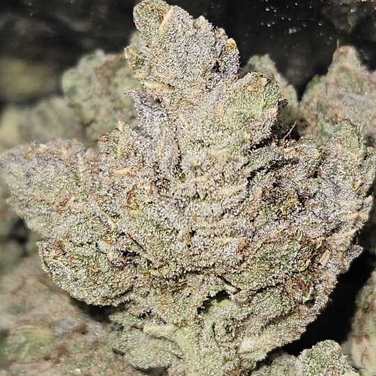 NUGZ FARM: Kickstart By Nugz