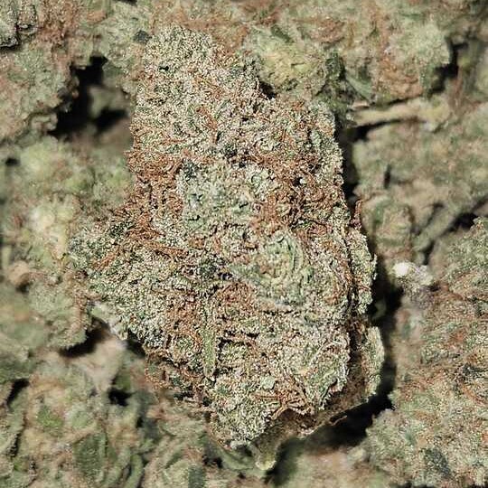 One: Strawberry Cough
