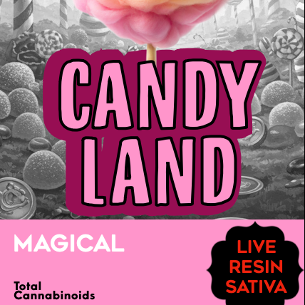 Freshy: Candyland