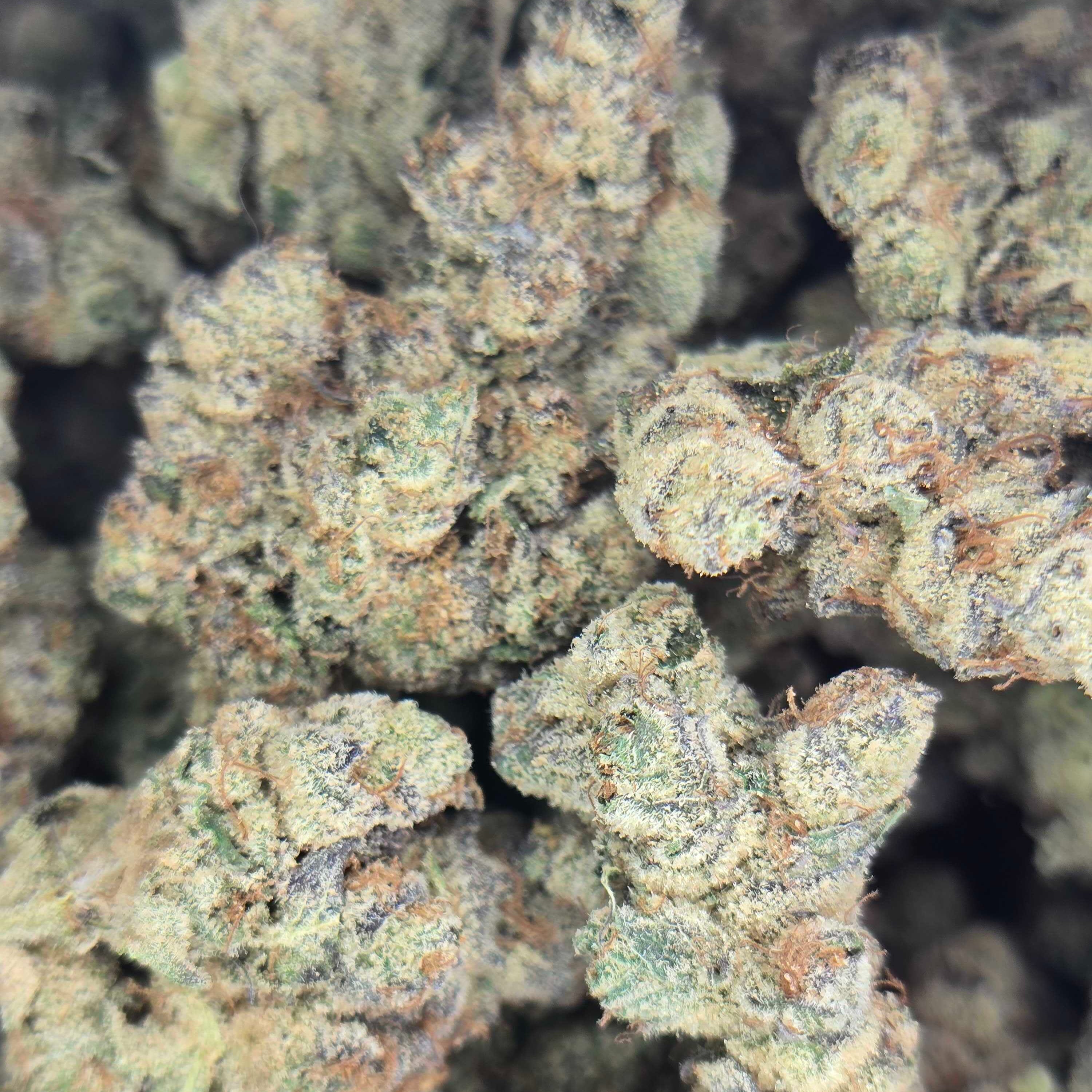 NUGZ FARM: Garlic Cocktail