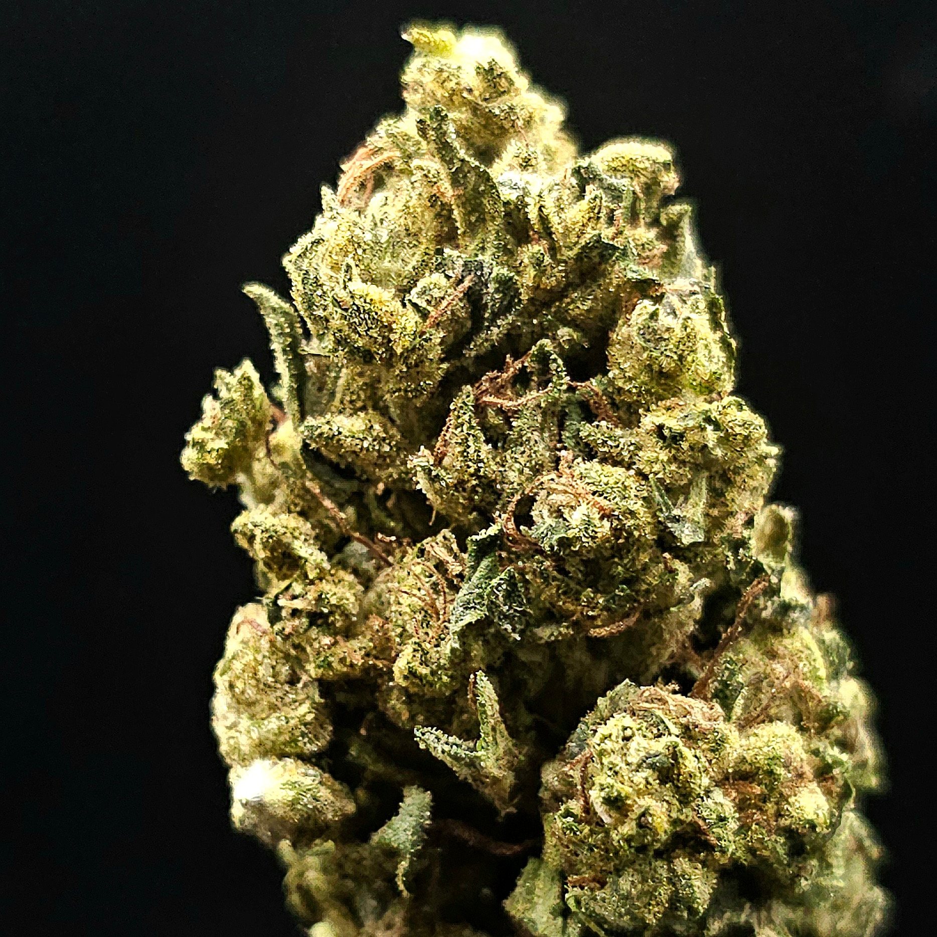 Green Acres: Sour Diesel