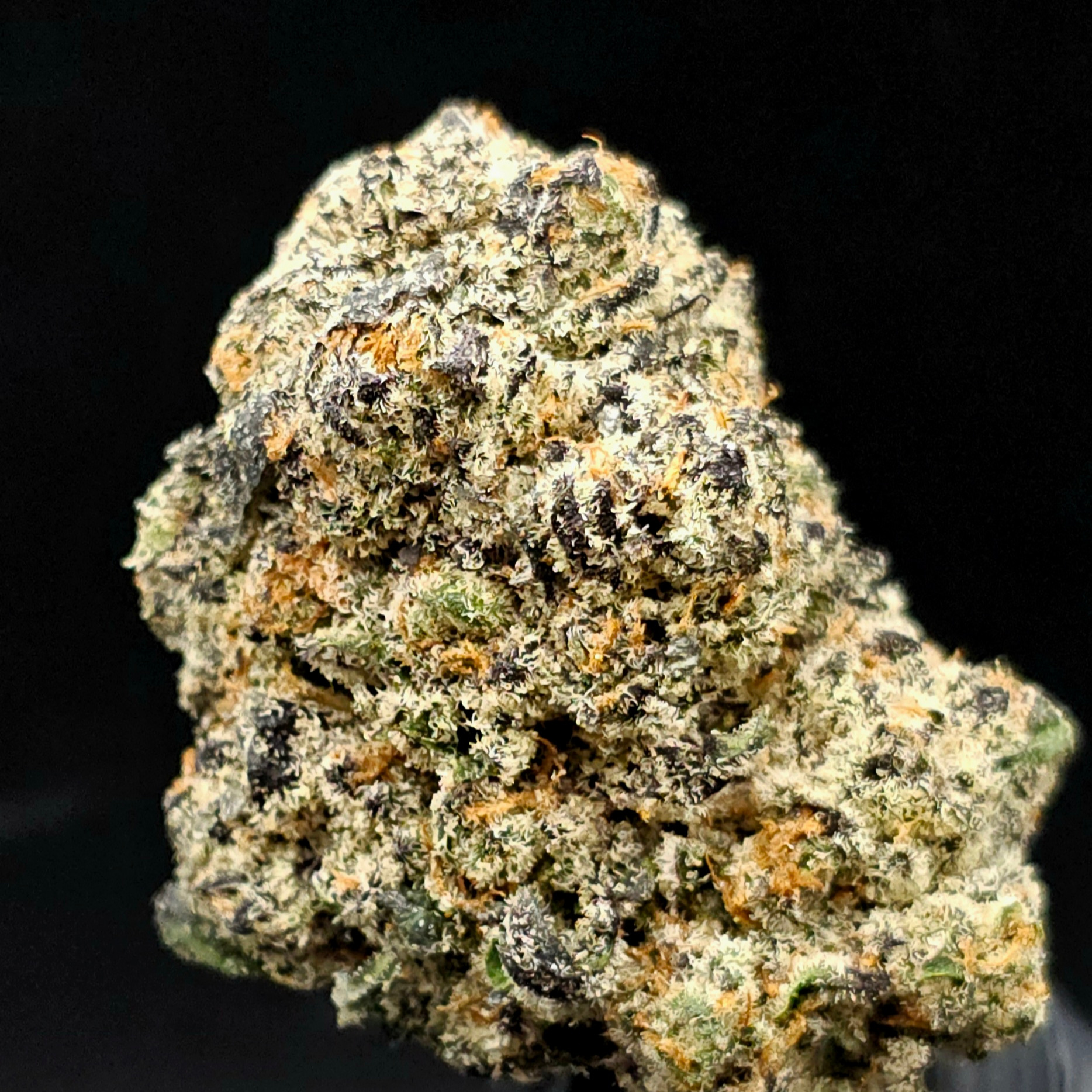 Virgin Cannabis: Gelato Sweet Tea