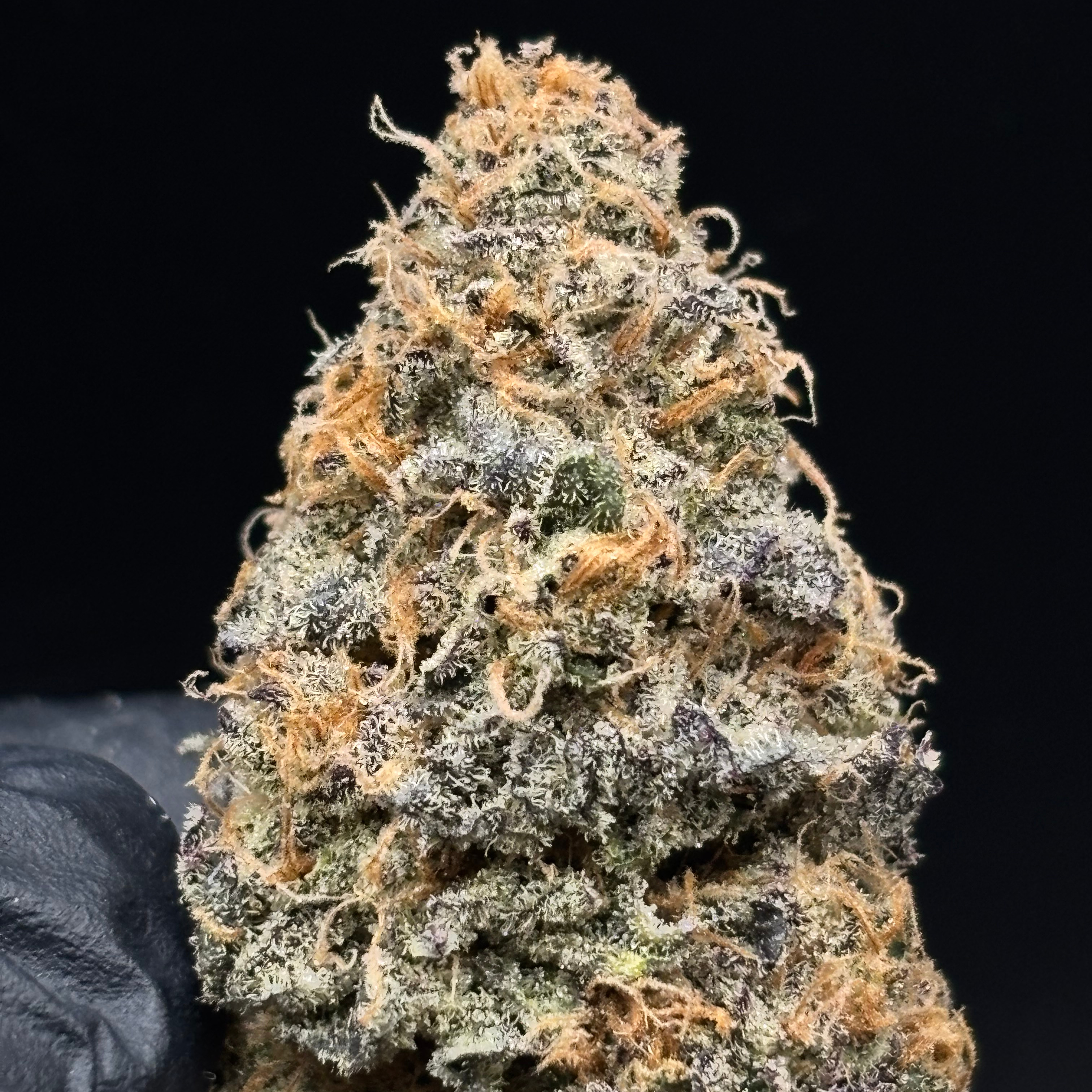 Nelson and Company Organics: Grape Pie