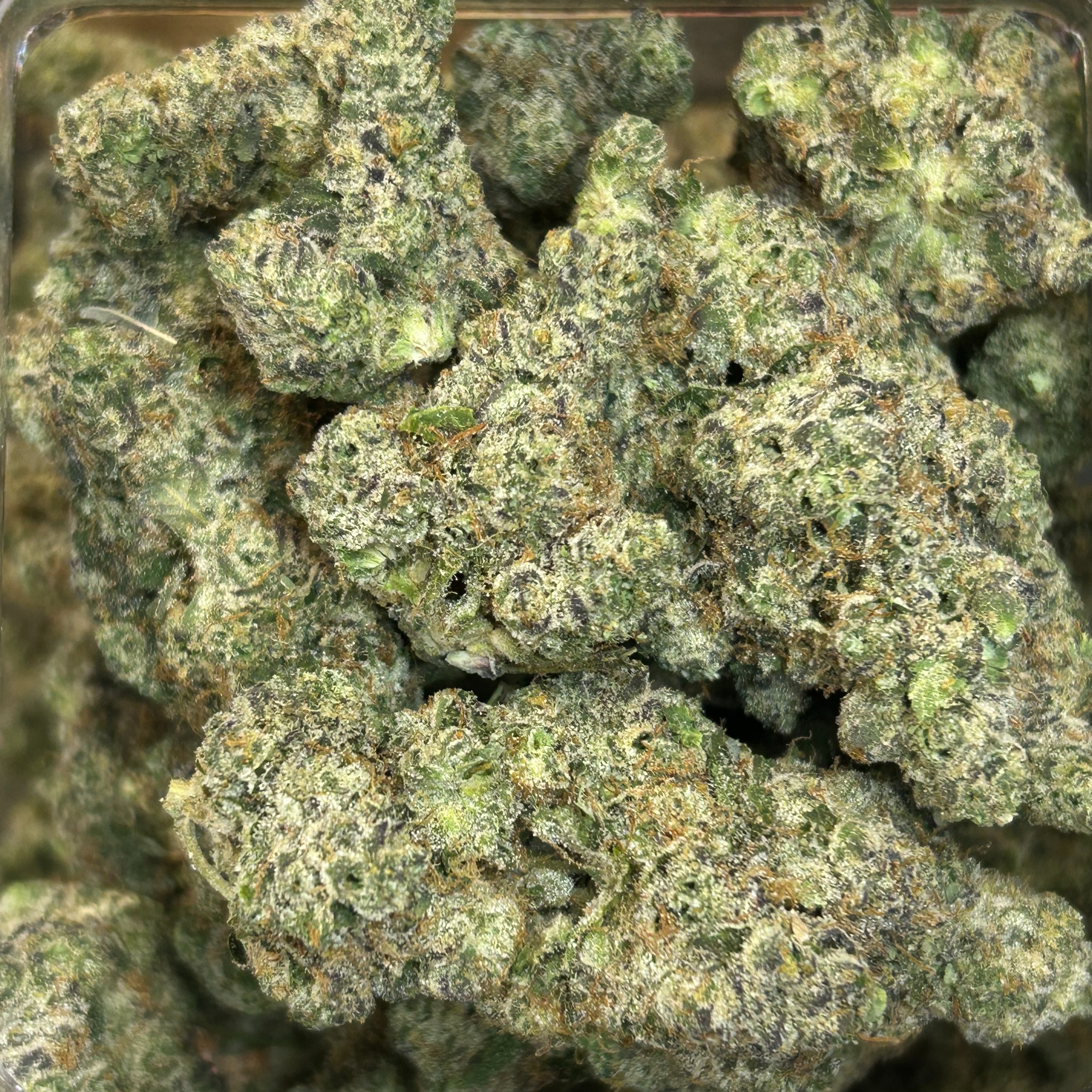 Rosebud Growers: Cheese