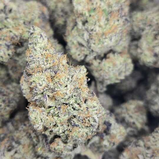 Upcountry: Blueberry Breeze