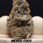 Kaprikorn: Indica - Mendo Coco