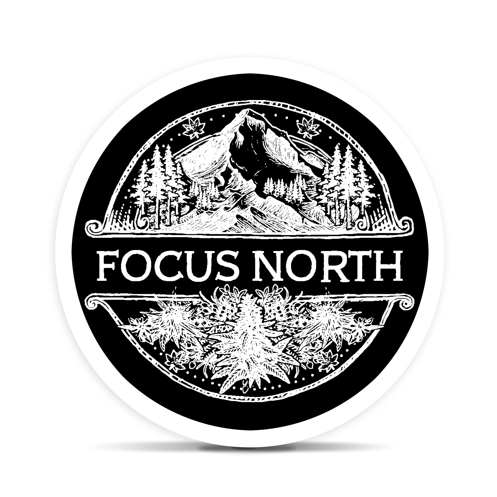 Focus North: Honey Dew