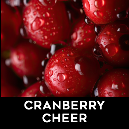 Elevate Holdings: Freshy - Seasonal - Cranberry Cheer