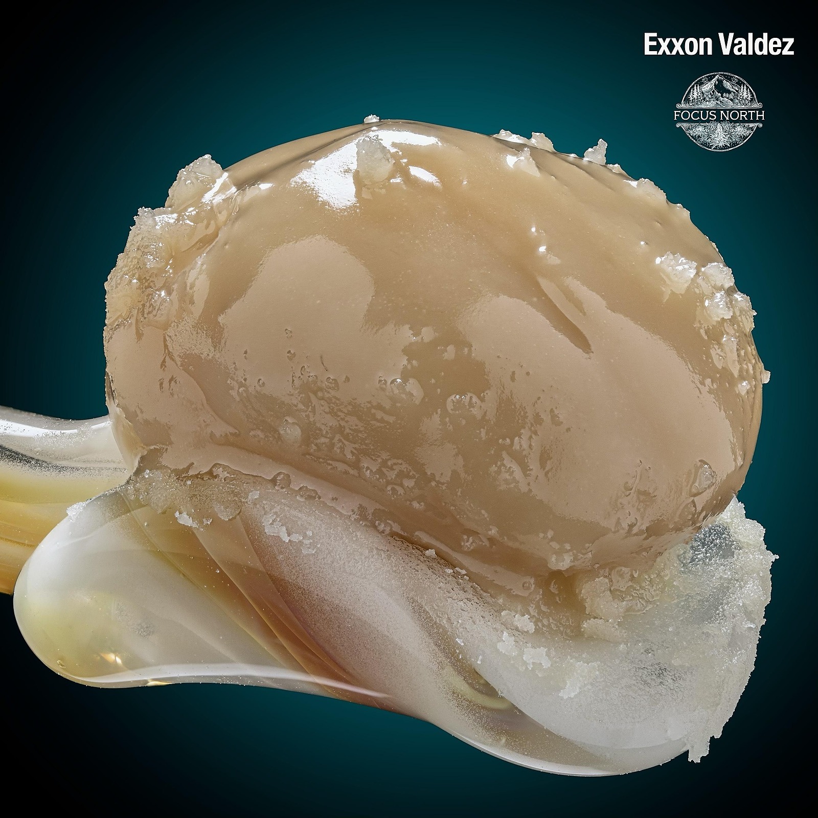 Focus North: Exxon Valdez