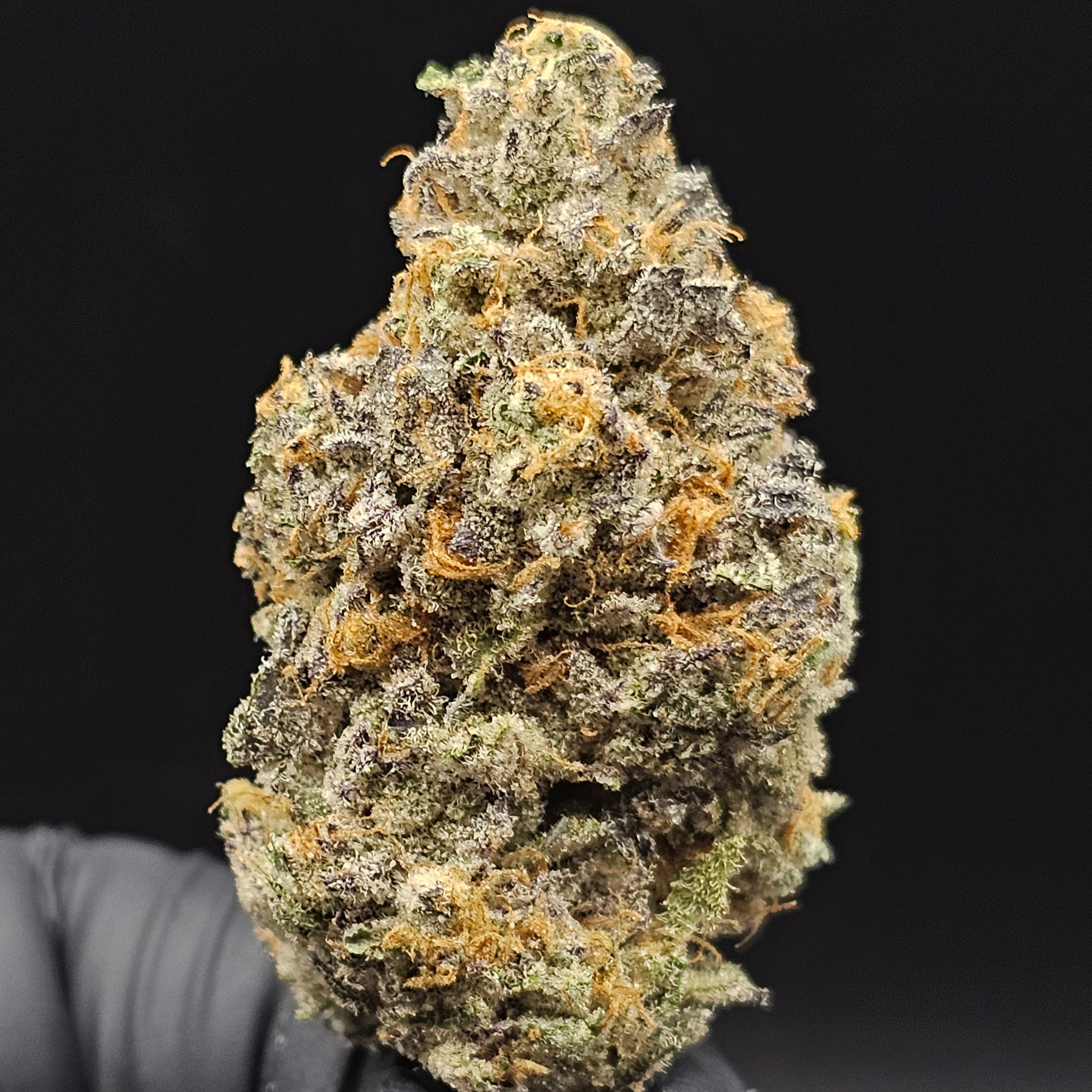 Lofty: Lemon Fumez
