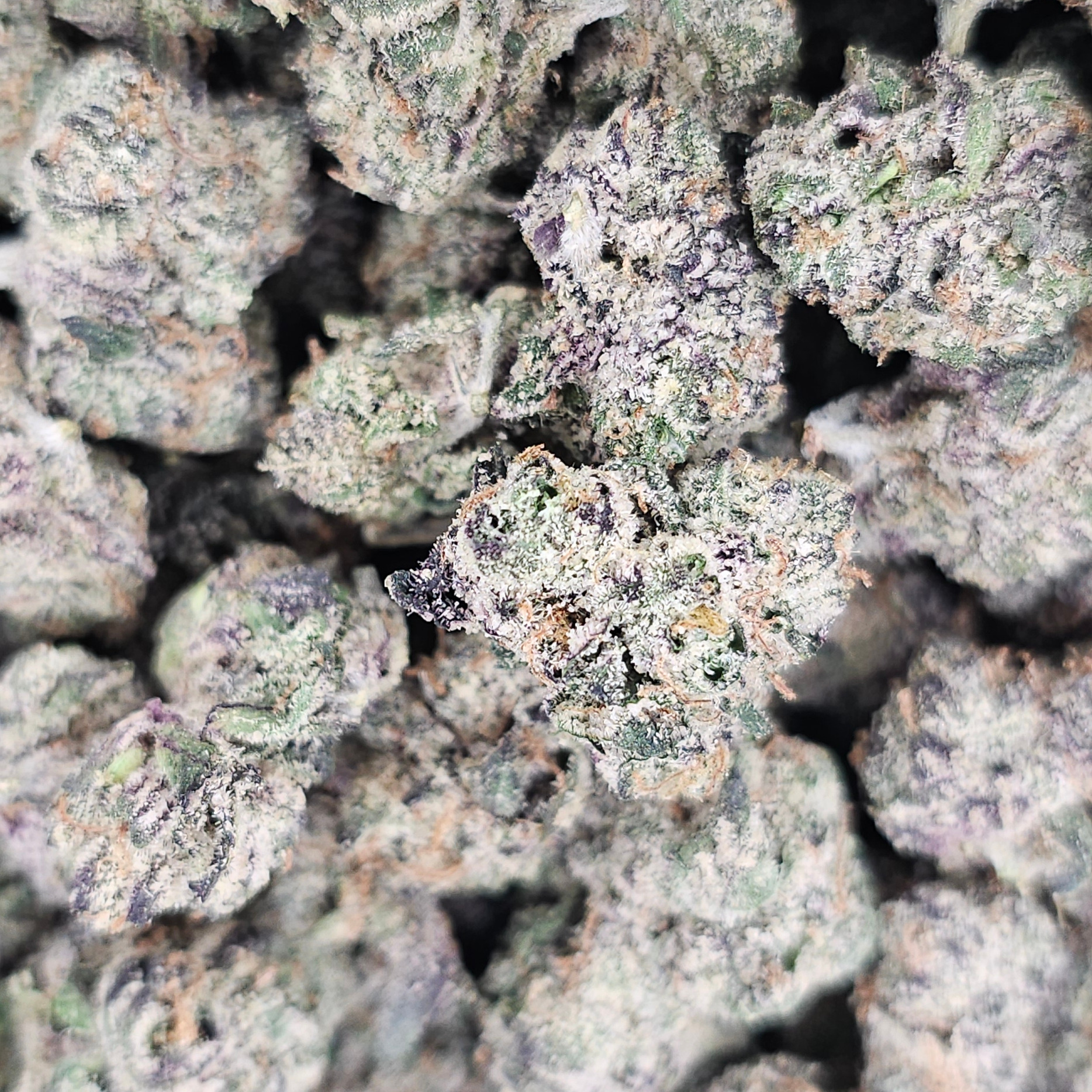 Phantom Reserve: Blue Nerds
