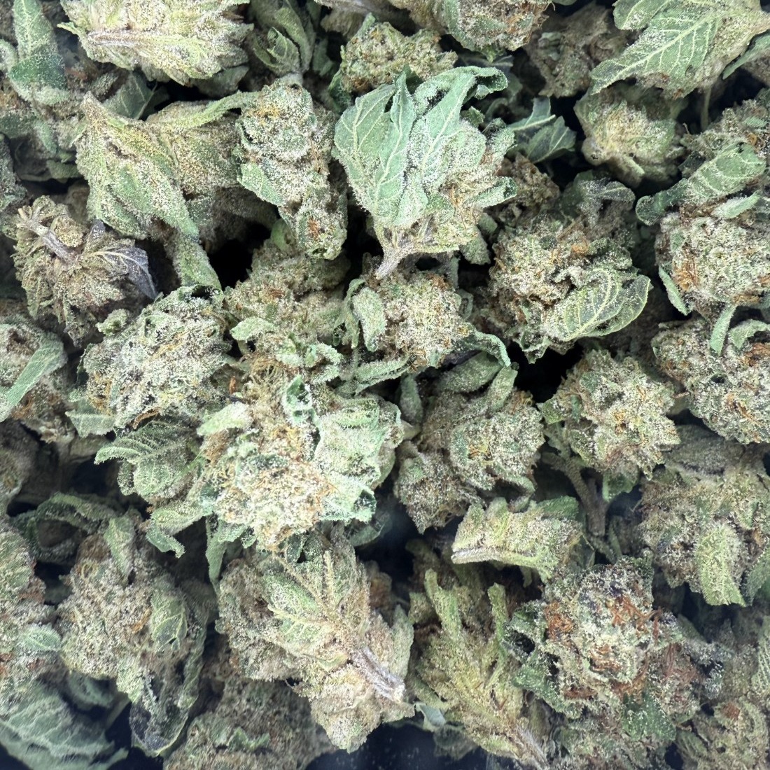 Skunk Valley Farms: Ice Cream Cake
