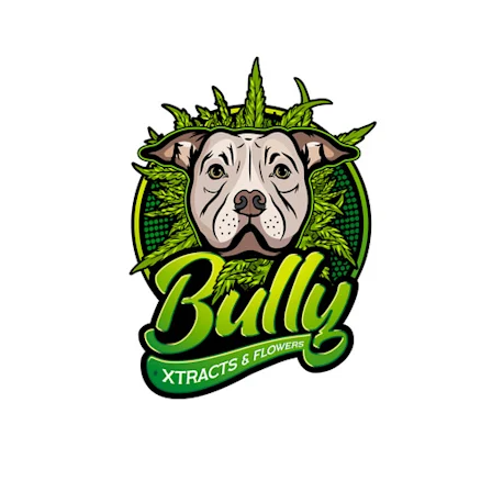 Bully Badder: Rainbow Rush