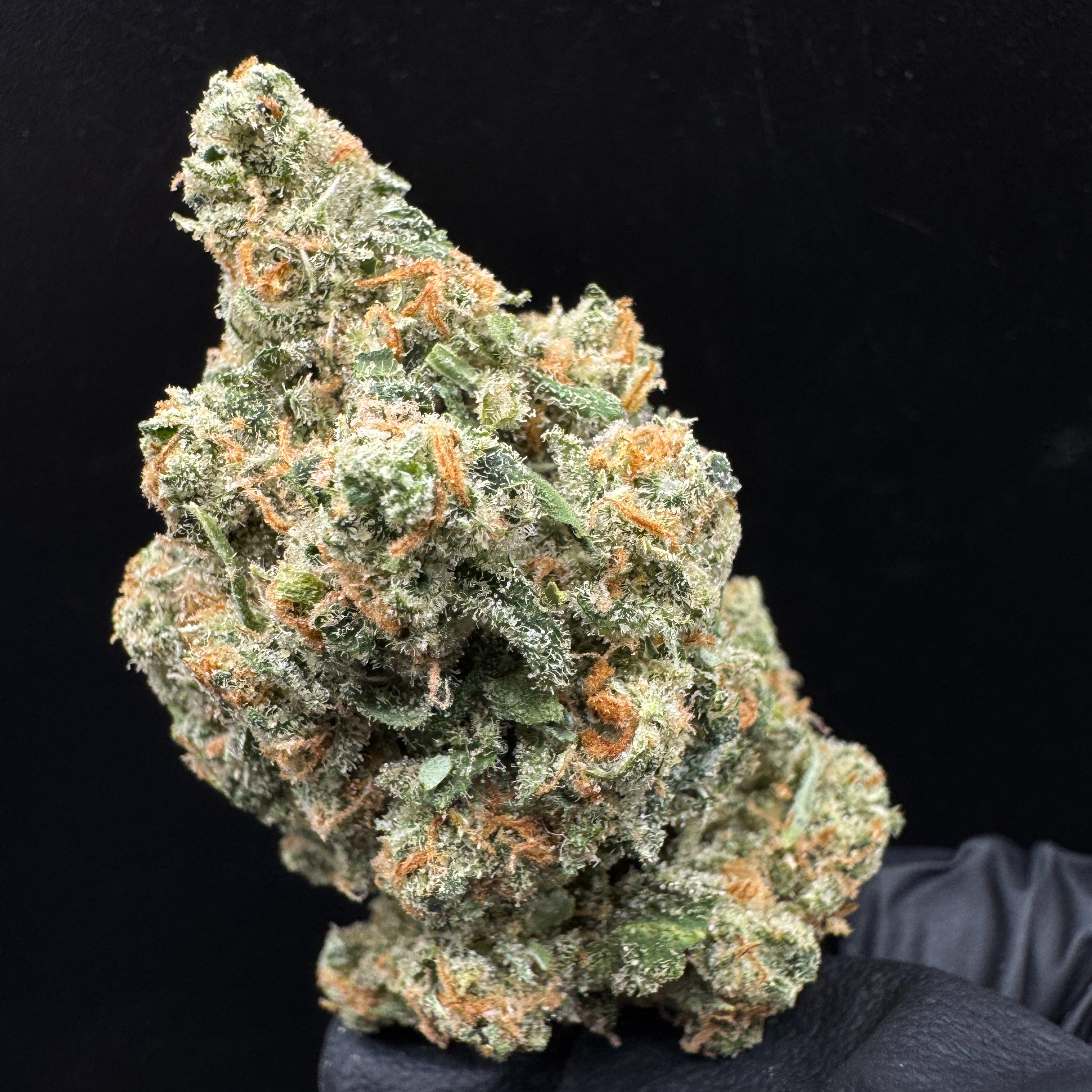Lofty Cannabis: Funny Farm