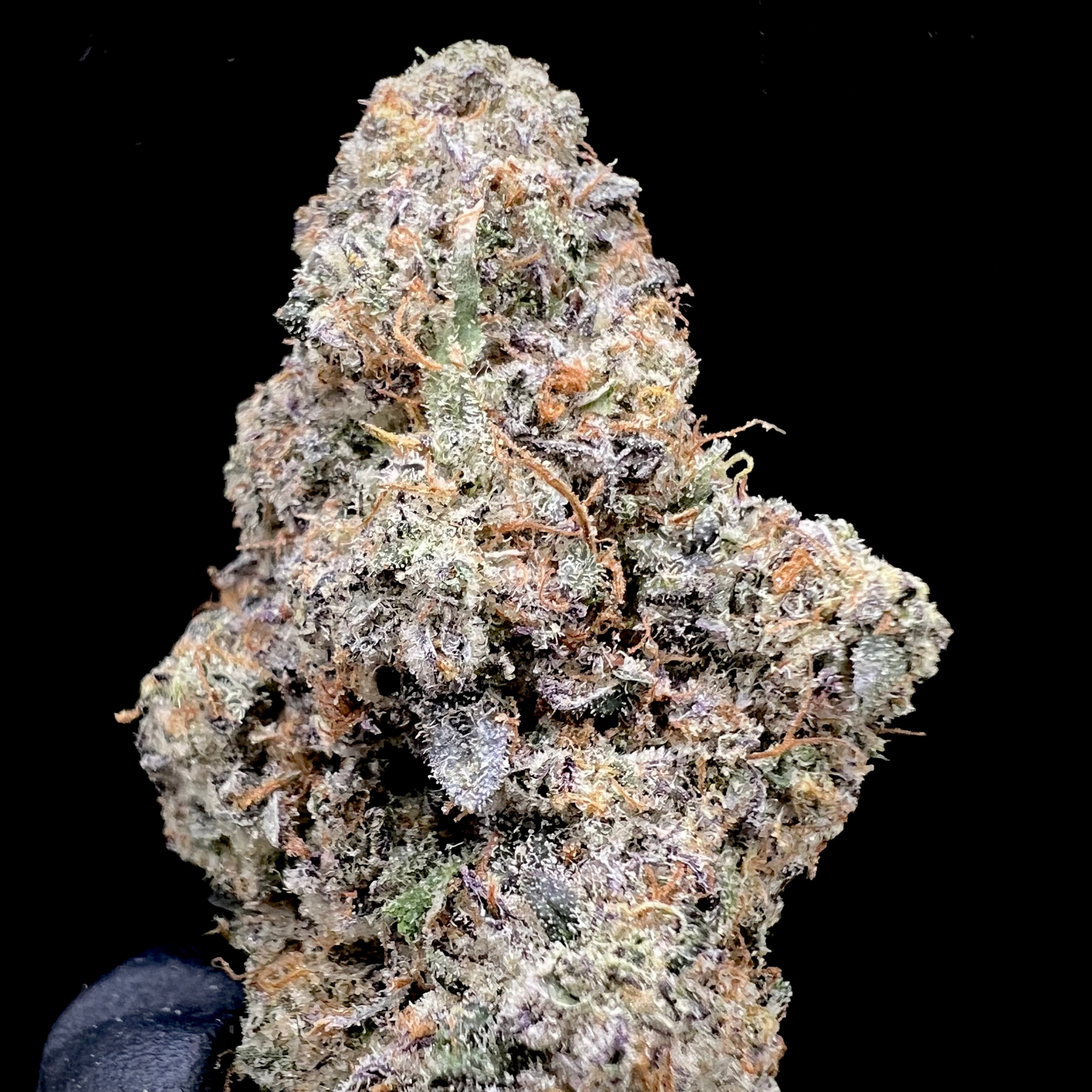 Urban Canna: Candy Burger