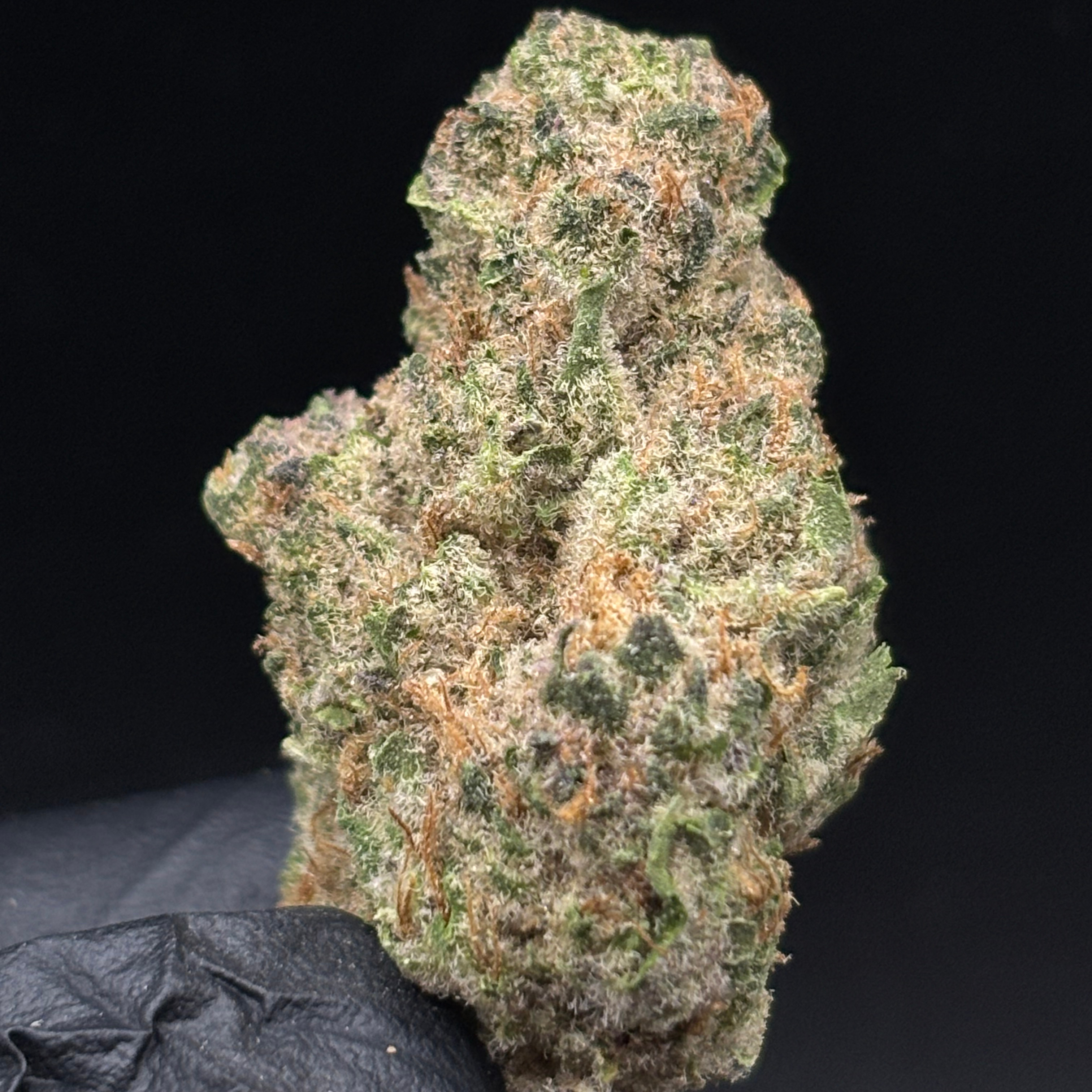 Williams Wonder Farms: Tropicana Cookies