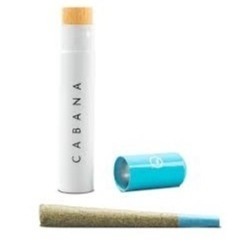 Cabana: Motor Breath