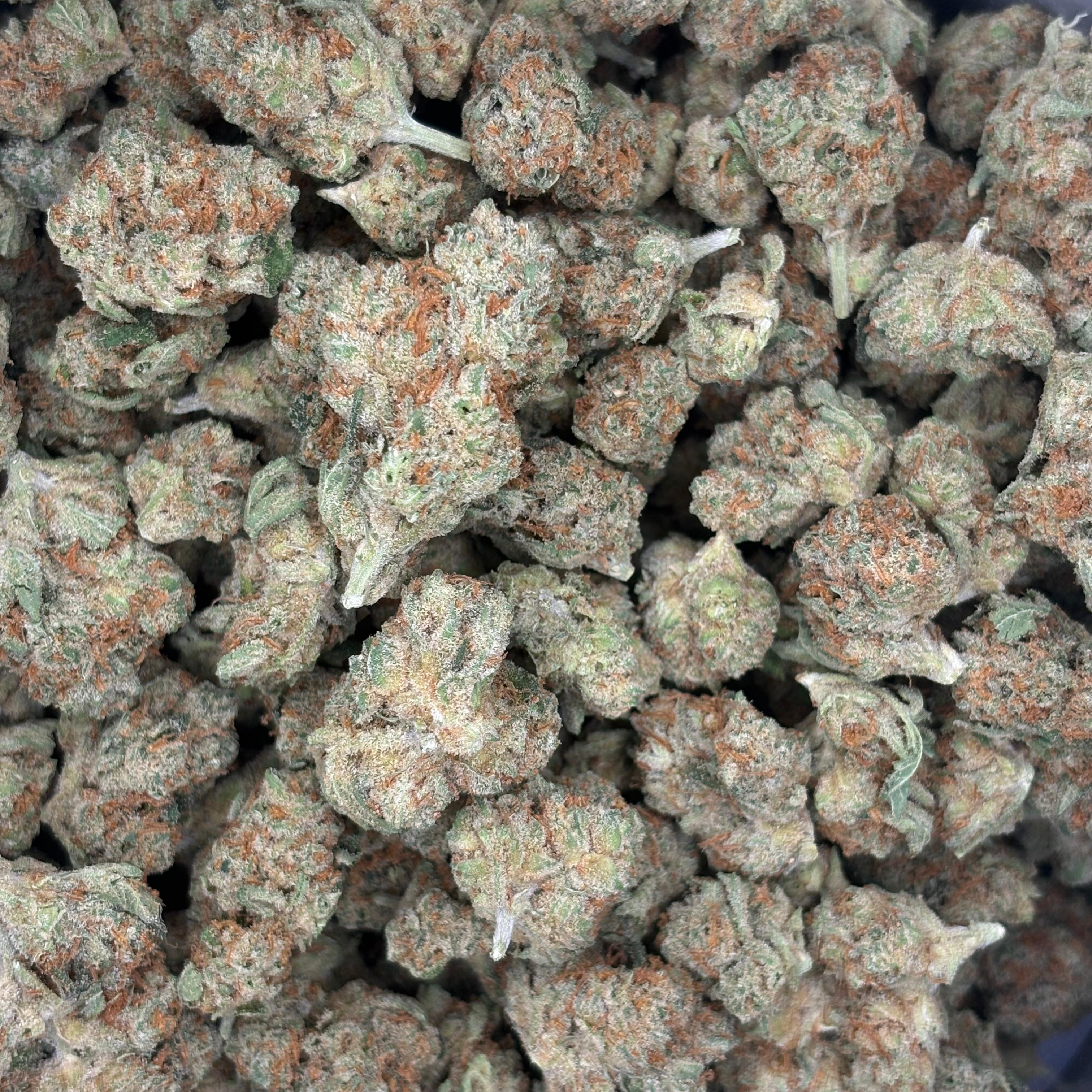 Midnight Trich Farms: Trainwreck