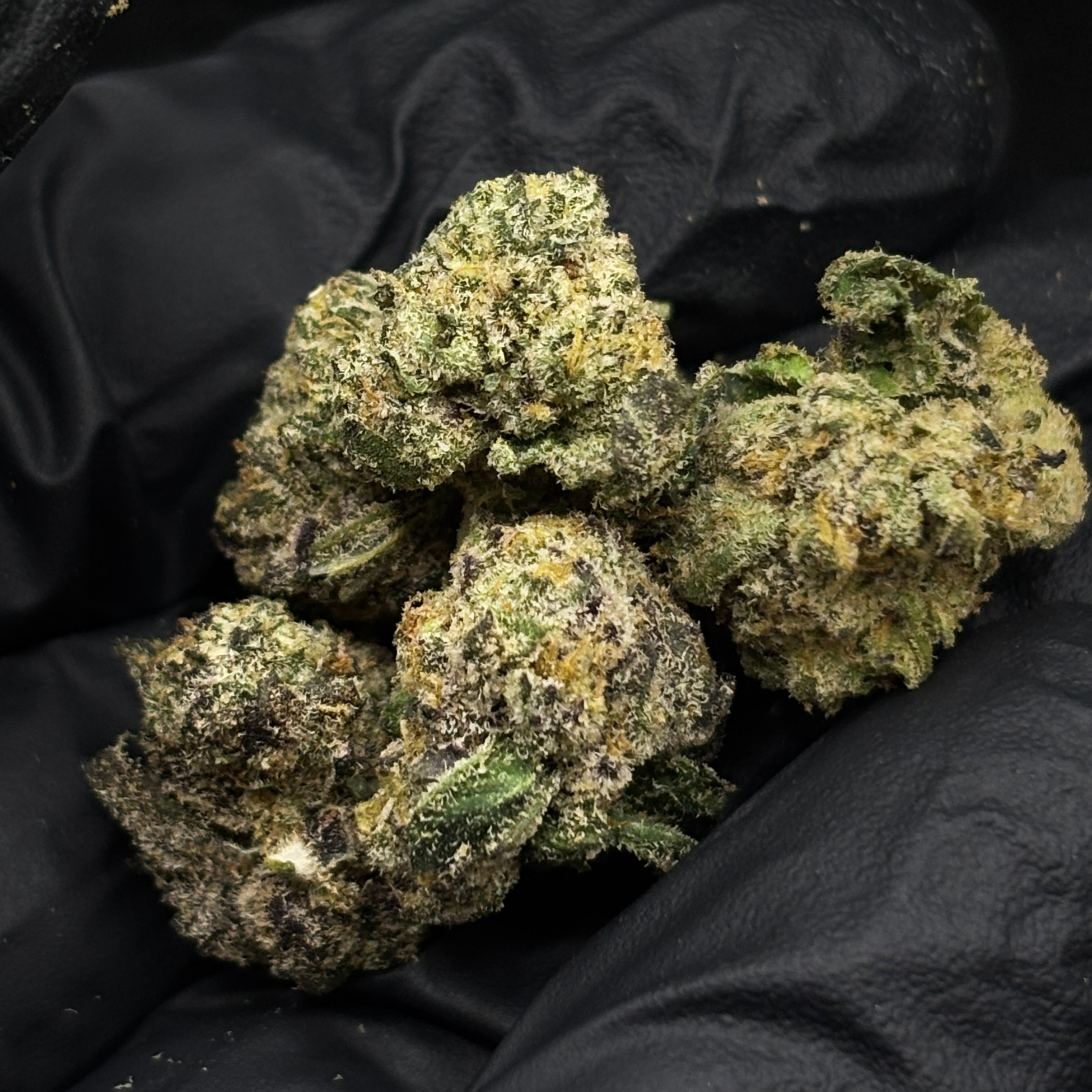 Phantom Reserve: Bacio Gelato