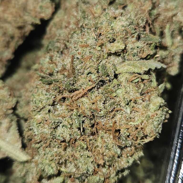 Midnight Trich Farms: Lemon Skunk