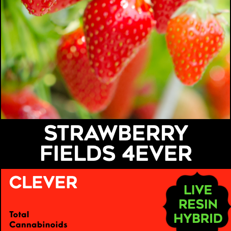 Freshy: Strawberry Fields