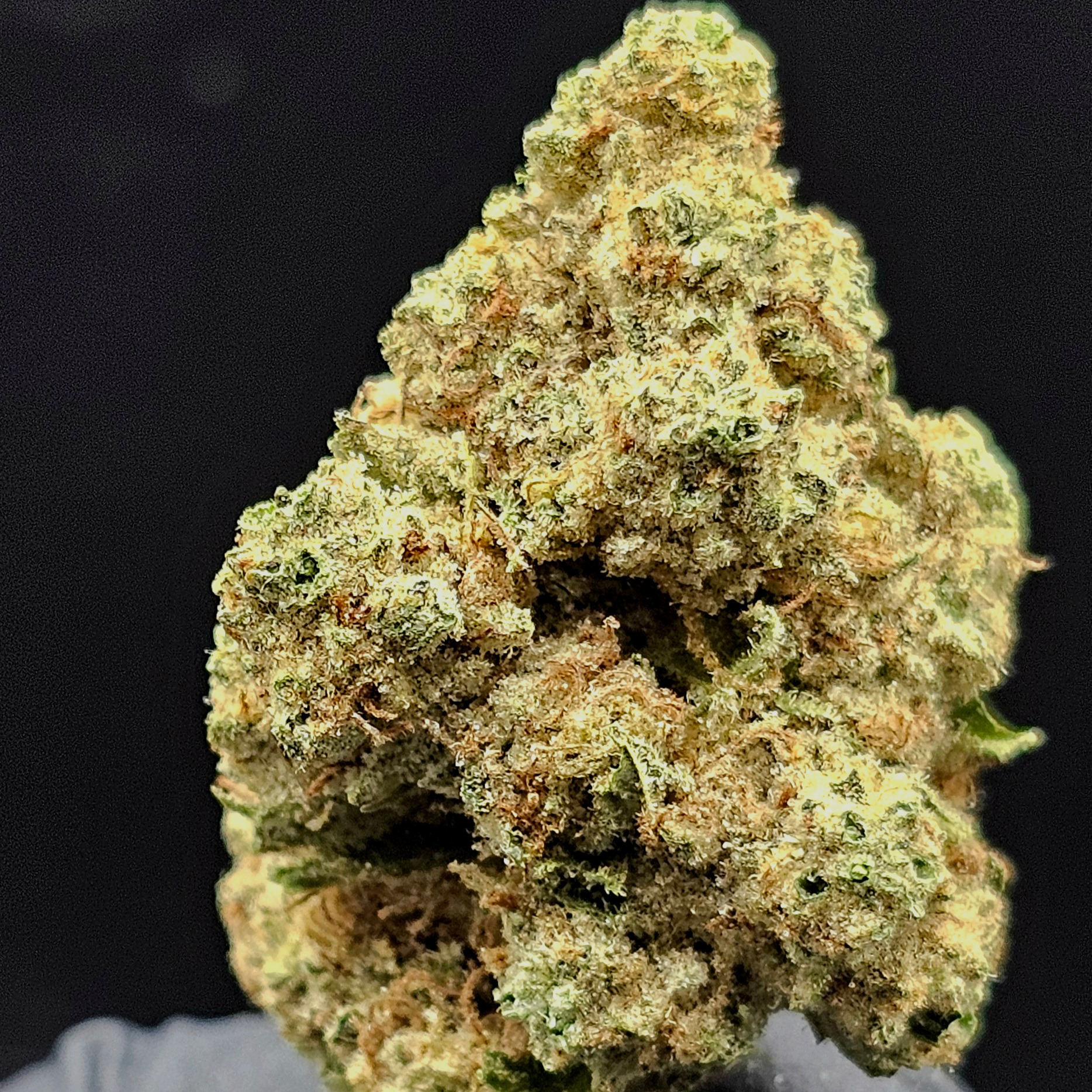 Williams Wonder Farms: Purple Punch