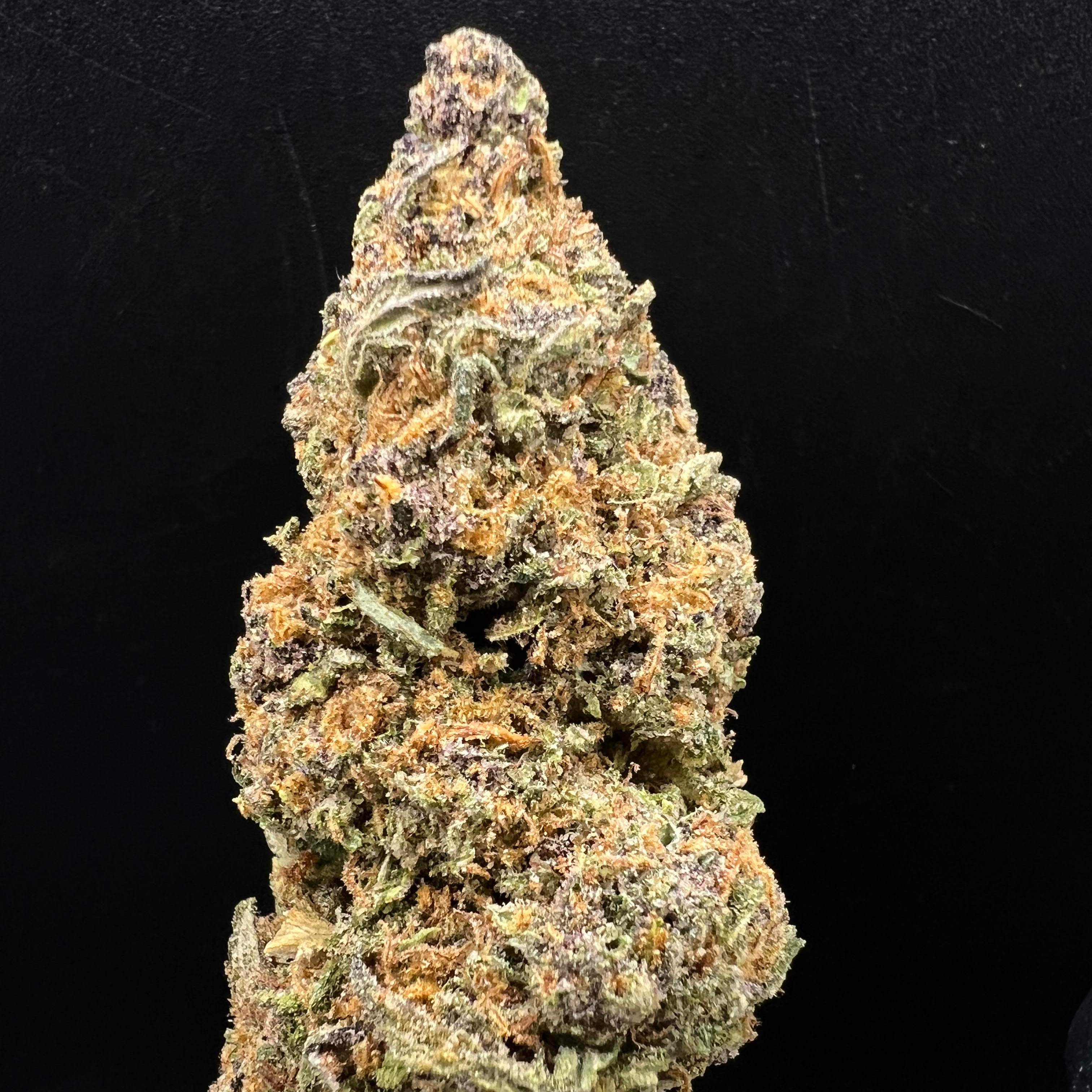 Juicy Farms : *(MED) Jaeger