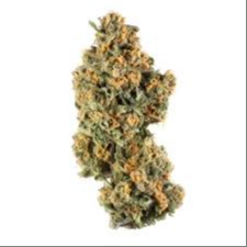 Grail: Golden Grail - Trigon The Terrible