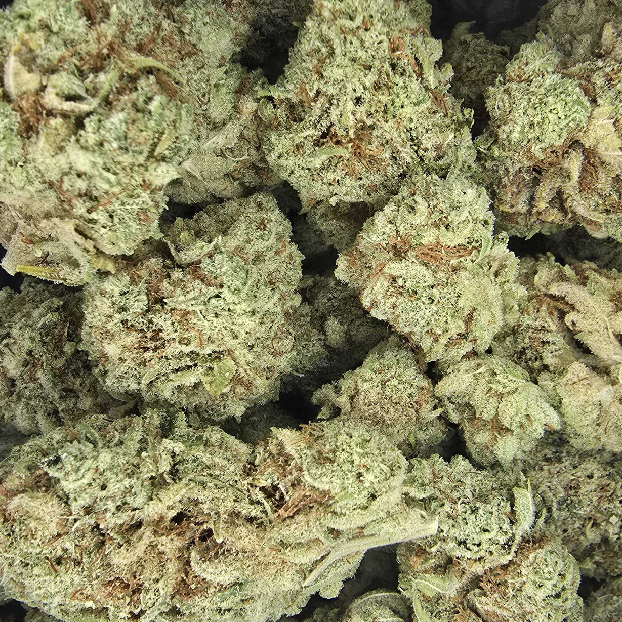 Karmic Elevation: Acapulco Gold