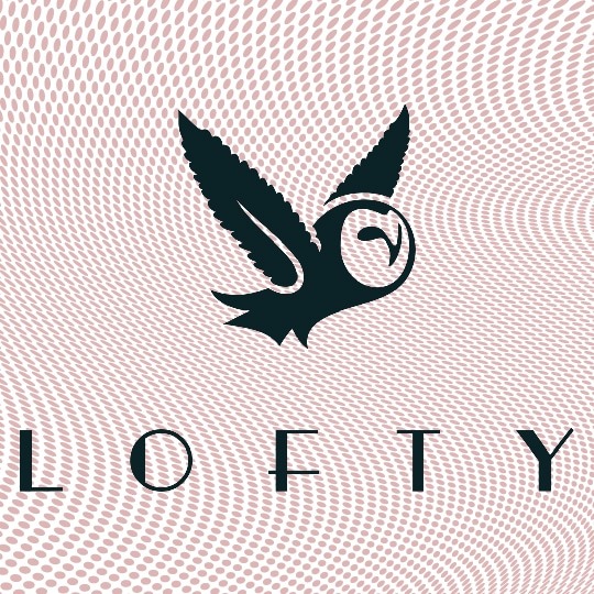 Lofty Canna: Baby Jay