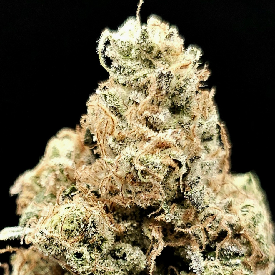 Resin Rancher's: Sour Diesel
