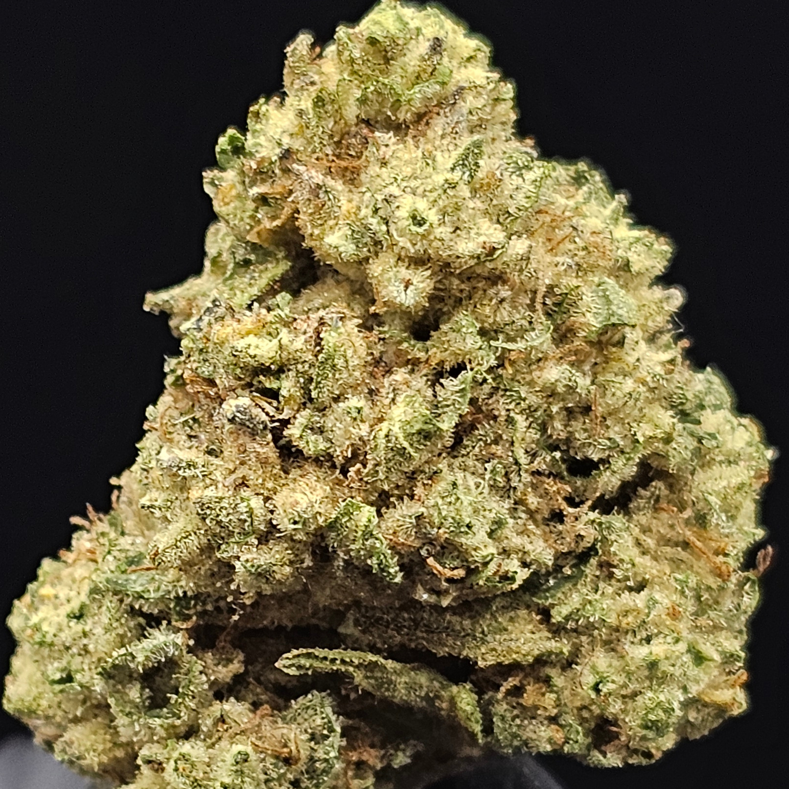 Blue & Yellow Farm: Purple Cream