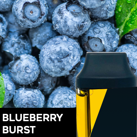 Elevate Holdings: Freshy - - Blueberry Burst