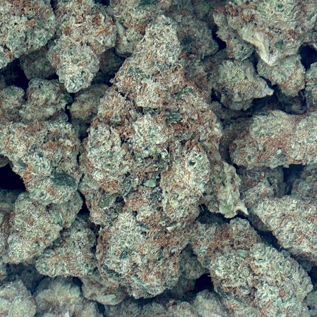 Midnight Trich Farms: Trainwreck