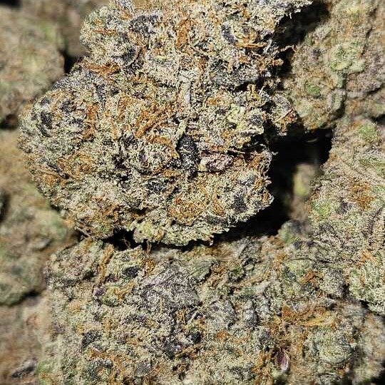 Wicked Kind: Ub40 By Wicked Kind