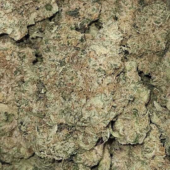 Midnight Trich Farms: Blobster By Midnight Trich Farms