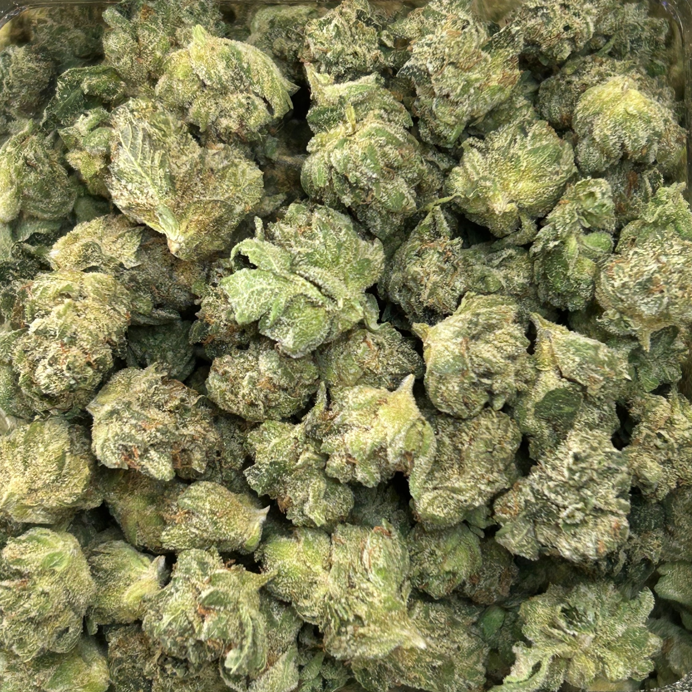 Sticky Farms: B*tch Bbuds By Sticky Farms