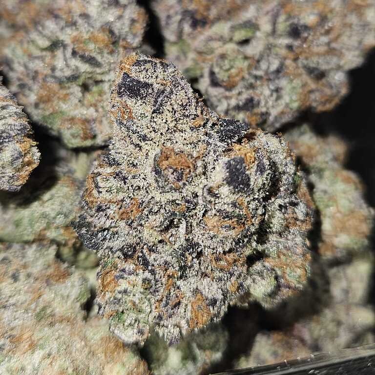 NUGZ FARM: Kfc Khronic F$!king Cookies By Nugz
