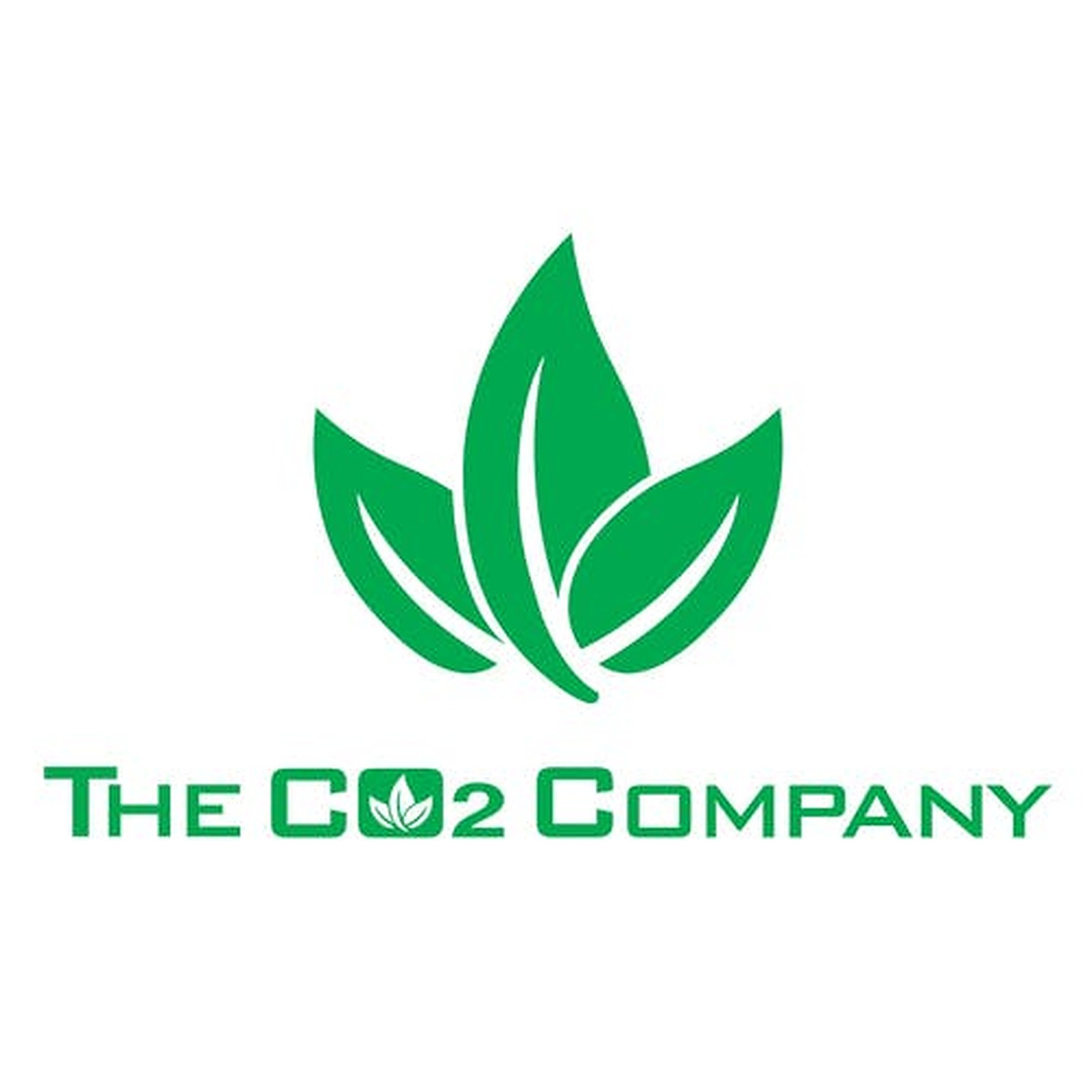 The CO2 Company: Fruit Lust Flavorz Syrup Mango