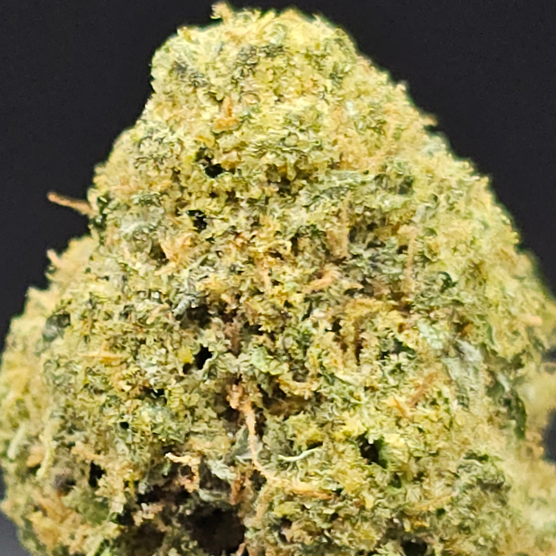 Hecate Gardens: Lime Koolaid