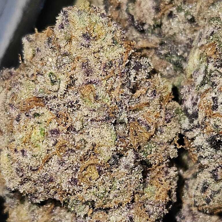 NUGZ FARM: Frost Junky