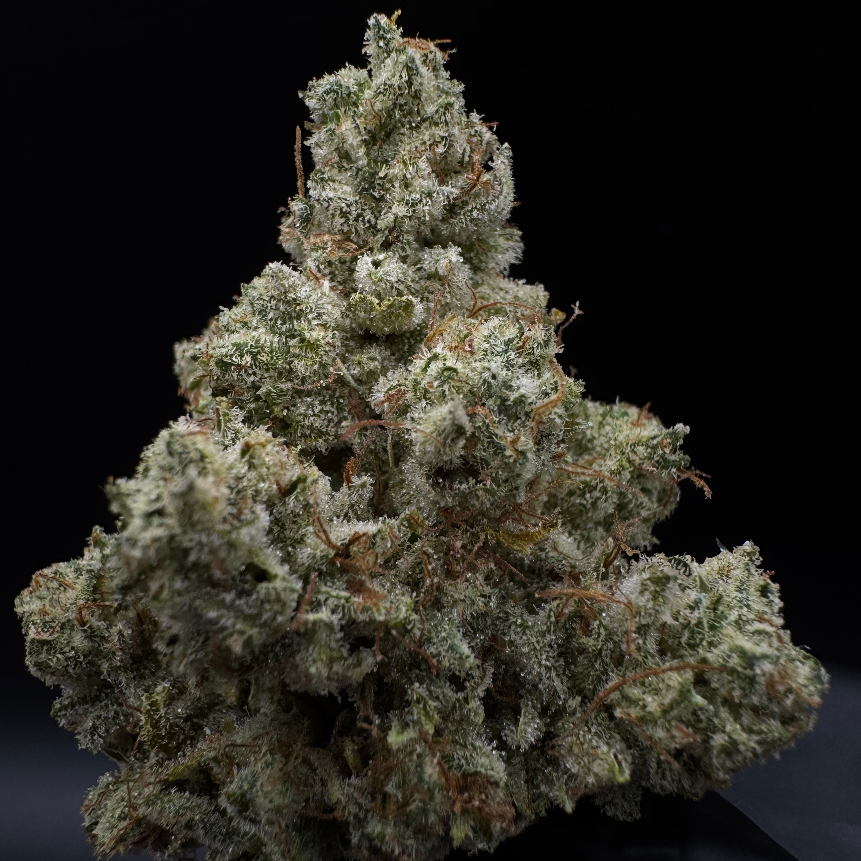 Deep Creek Gardens: Original Glue