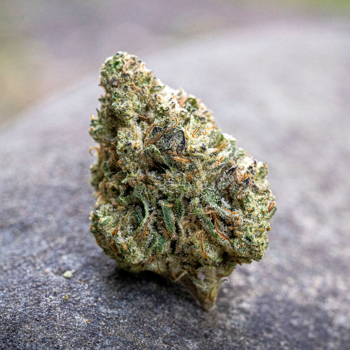 Farm Cut — Government Oasis