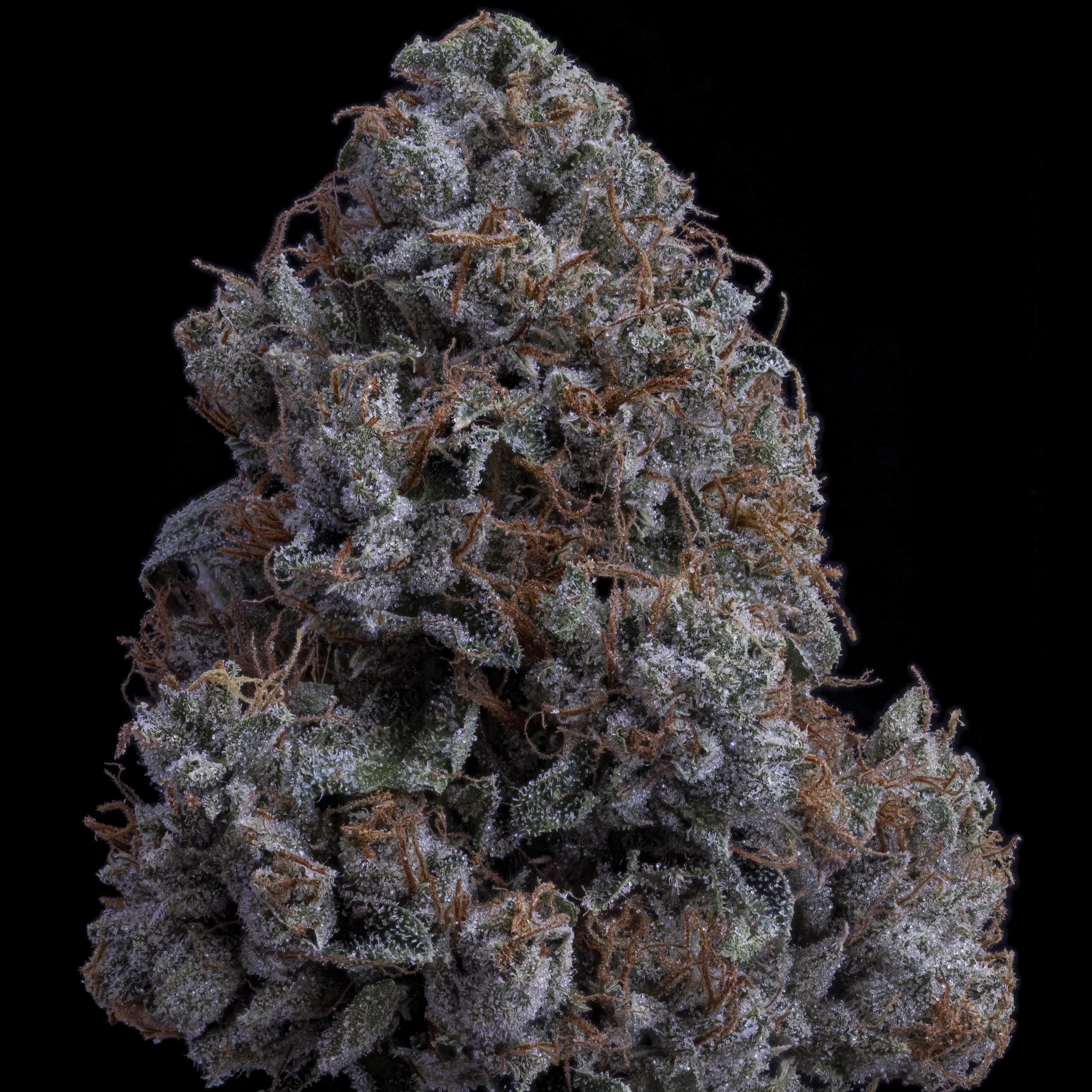 Sticky Status: K1 OG