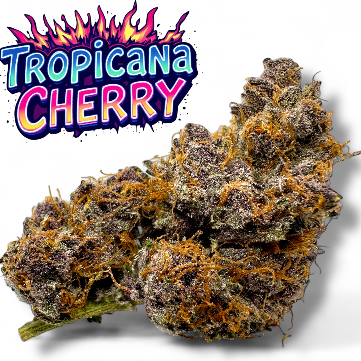 THC パロディ rare LLICA marijuana USA製 THC パロディ rare LLICA marijuana USA製 THC パロディ rare